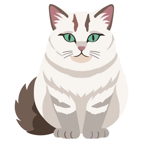 Cat Lovers Theme Turkish Angora Cat Transparent Sticker